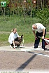 Kreismeisterschaften