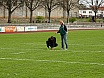 Fr&uuml;hjahrssportfest / Kreismeisterschaften