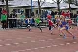 Fr&uuml;hjahrssportfest / Kreismeisterschaften