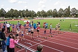 Landesmeisterschaften Team U14 & U12
