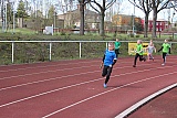 Fr&uuml;hjahrssportfest / Kreismeisterschaften